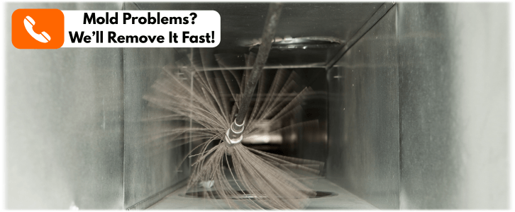 Air Duct Mold Removal in Redmond WA