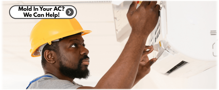 HVAC Mold Removal Redmond WA